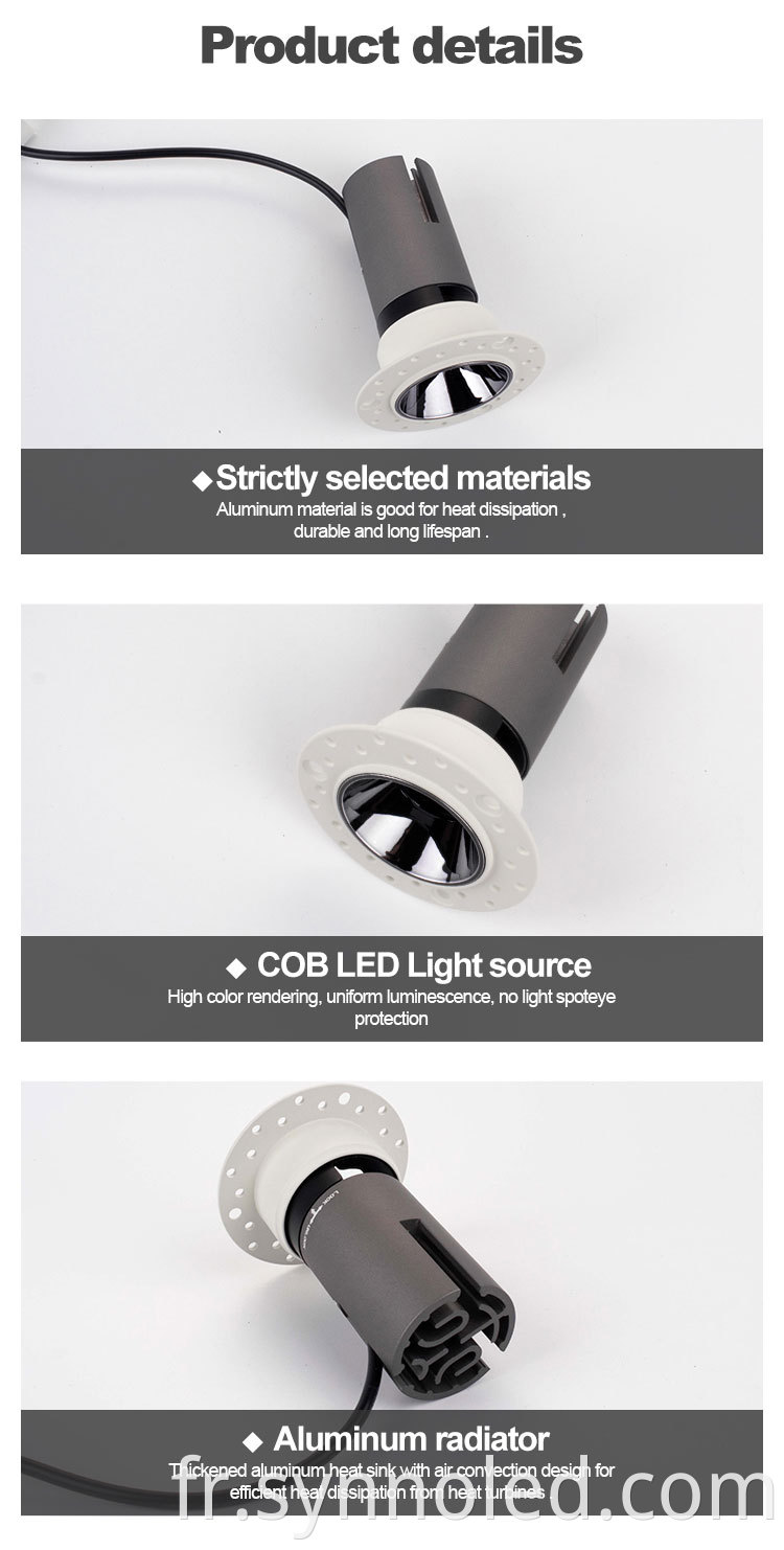 Trimless Led Downlight Details From Synno Lighting